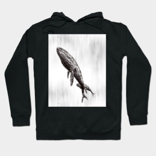 Whale Songs Hoodie